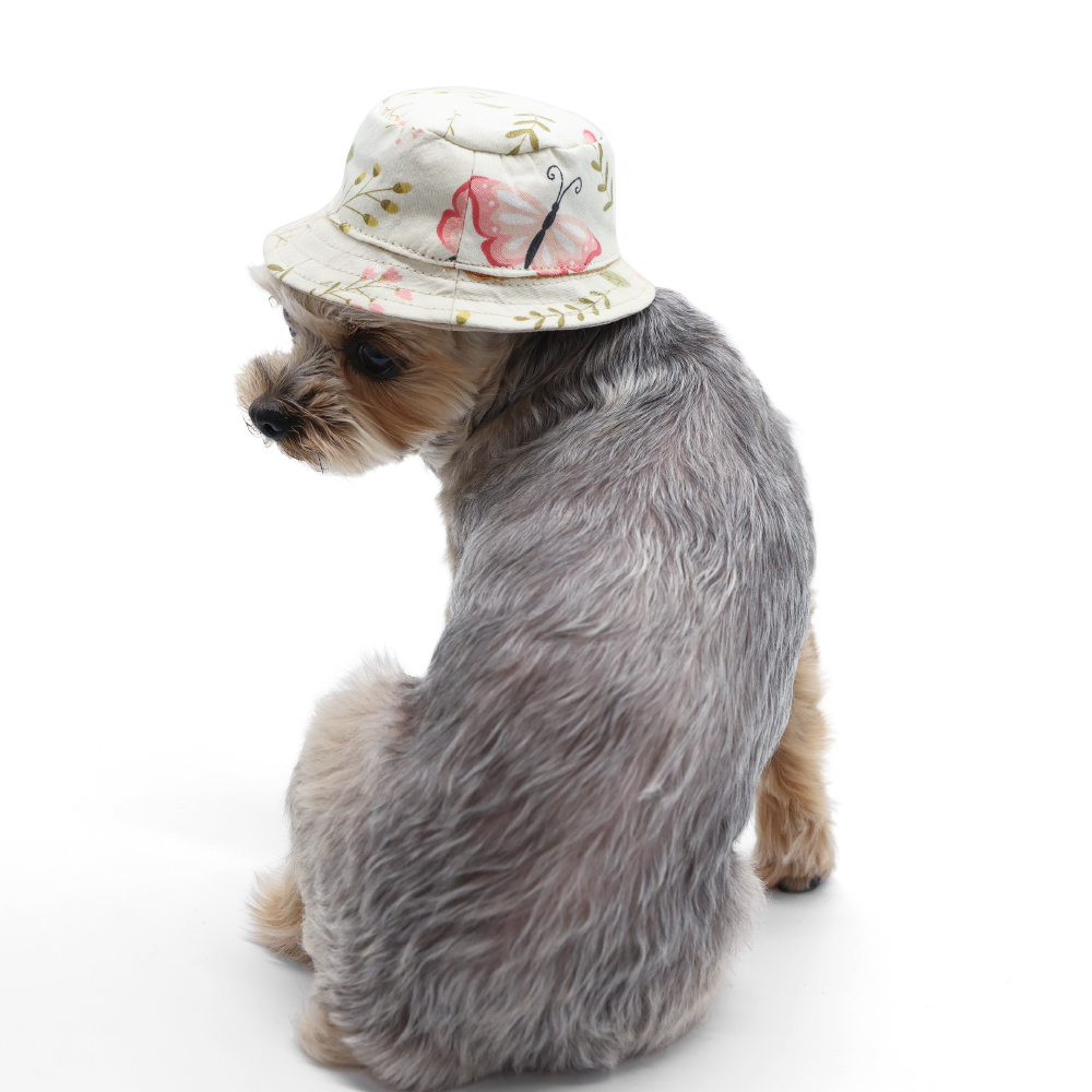 dogo